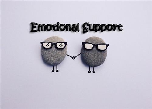 emotional support 